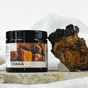 Chaga – Błyskoporek podkorowy – 90 kap. - Suplementy naturalne - miniaturka - grafika 1