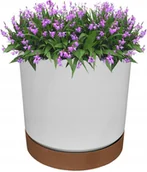 Donice - Doniczka Z Podstawką Tubo Pm Śr.18 cm- Biała - miniaturka - grafika 1