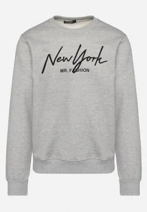 Szara Bluza z Dodatkiem Bawełny z Haftowanym Napisem Wykończona Polarem Feladela - Bluzy męskie - miniaturka - grafika 1