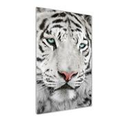 Obrazy i zdjęcia na płótnie - Foto-obraz szkło hartowane Biały tygrys - miniaturka - grafika 1