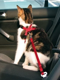 Trixie Szelki samochodowe dla kota 1294 - Szelki dla kotów - miniaturka - grafika 1
