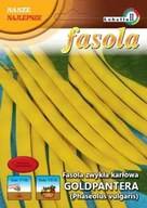 Nasiona i cebule - Fasola żółta karłowa GOLDPANTERA 40g / L / - miniaturka - grafika 1