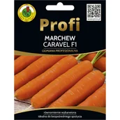 Nasiona i cebule - Marchew Caravel nasiona 2g. Pnos - miniaturka - grafika 1