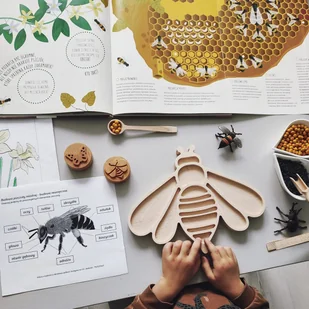Wysypywanka sensoryczna Pszczoła - Zabawki sensoryczne - miniaturka - grafika 1