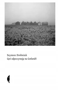 Gęsi odpoczywają na Gotlandii - Szymon Drobniak - Eseje - miniaturka - grafika 1