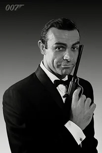 Pyramid Posters James Bond (The Names Bond) - plakat PP31536 - Plakaty - miniaturka - grafika 1