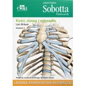 Książki medyczne - Edra Urban & Partner Anatomia Sobotta Flashcards Kości stawy i więzadła - Brauer Lars - miniaturka - grafika 1