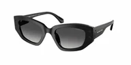 Okulary przeciwsłoneczne - Okulary Przeciwsłoneczne Michael Kors MK 2234B 30058G - miniaturka - grafika 1