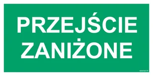 AC039 PRZEJŚCIE ZANIŻONE, FS - FOLIA SAMOPRZYLEPNA FOTOLUMINESCENCYJNA; (300X150MM) - Systemy ekspozycyjne i znaki informacyjne - miniaturka - grafika 1