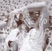 Bjork Vespertine Vinyl)