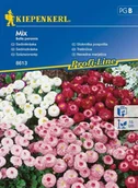 Nasiona i cebule - Kiepenkerl Stokrotka pospolita Mix Bellis perennis 102376 - miniaturka - grafika 1
