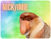 Podkładki pod mysz - PODKŁADKA POD MYSZKĘ JANUSZ NOSACZ Z IMIENIEM 23x19CM DO LAPTOPA - miniaturka - grafika 1