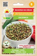 Nasiona i cebule - Toraf Soczewica nasiona na kiełki 20g 00019 - miniaturka - grafika 1