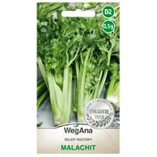 Nasiona i cebule - Seler naciowy Malachit nasiona 0,5g nasiona - WegAna - miniaturka - grafika 1