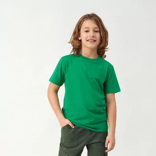 Koszulki dla chłopców - Cool Club, T-shirt chłopięcy, zielony - grafika 1