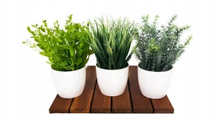 Zestaw 3 Sztuczne Rośliny Kwiaty w Doniczkach Sztuczna Trawa Sukulenty - Sztuczne kwiaty Zestaw 3 Sztuczne Rośliny Kwiaty w Doniczkach Sztuczna Trawa Sukulenty - Sztuczne kwiaty - miniaturka - grafika 1