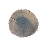 Kostki brukowe i krawężniki - Płyta dekoracyjna Pień Mini 32 cm ciemny brąz - miniaturka - grafika 1