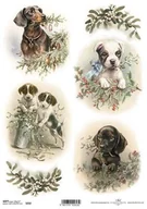 Scrapbooking - Papier SOFT ITD A4 S352 pies - miniaturka - grafika 1