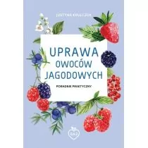 Uprawa owoców jagodowych Justyna Krulczuk - E-booki - nauka - miniaturka - grafika 2