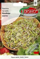 Nasiona i cebule - Rzodkiew czarna, nasiona na kiełki 10g - Torseed - miniaturka - grafika 1