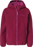 Kurtki i płaszcze dla chłopców - Jack Wolfskin Chłopięca kurtka Fourwinds, Dark Ruby, 164 - miniaturka - grafika 1