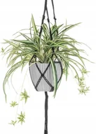 Sztuczne kwiaty - Sztuczna roślina w wiszącej doniczce Zielistka - miniaturka - grafika 1