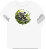 Koszulki i topy damskie - Koszulka damska biała z motywem koali na szarym tle XS - miniaturka - grafika 1