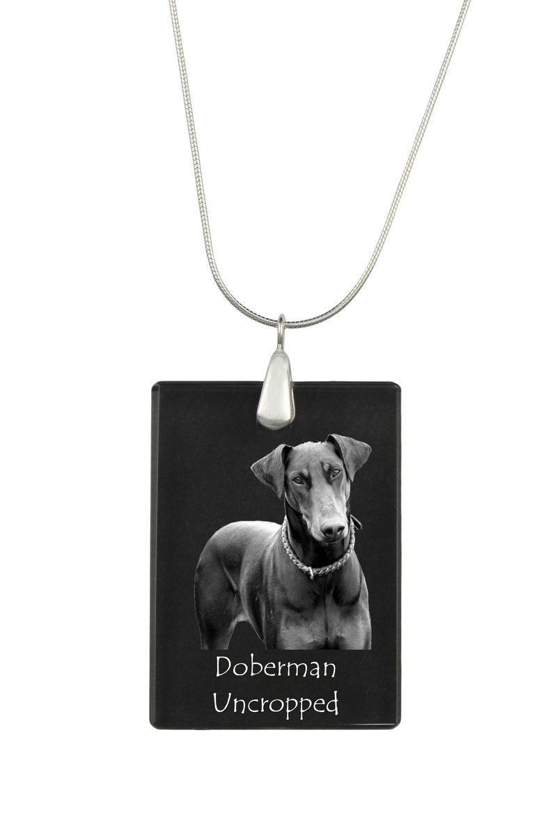 Doberman, Dobermann I - kryształowa zawieszka z psem, srebrny naszyjnik ze zdjęciem, personalizowany wisiorek marki Art-Dog
