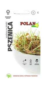 Nasiona na kiełki Pszenica 25 g POLAN - Nasiona i cebule - miniaturka - grafika 1
