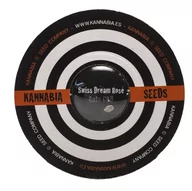 Nasiona i cebule - Nasiona konopi CBD Kannabia - Swiss Dream Rose Auto CBD (Fem.) 1szt. - miniaturka - grafika 1