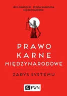 E-booki - prawo - Prawo karne międzynarodowe. Zarys systemu - miniaturka - grafika 1