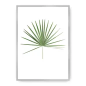 Plakaty - Dekoria Dekoria Plakat Tropical Leaf Green 21 x 30 cm Ramka Srebrna 218B-000-14 - miniaturka - grafika 1