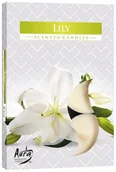 Świece - Bispol Świeczka zapachowa Lilia 6szt - miniaturka - grafika 1