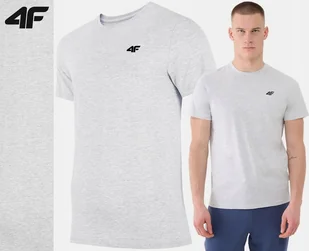 Koszulka Męska 4f T-shirt Bawełniany Podkoszulek Sportowy Co Dzień 2256 Xl - Koszulki męskie - miniaturka - grafika 1