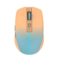 Myszki - Inca IWM-511RT RF Wireless + Bluetooth + USB Type-C Optyczny 1600 DPI - miniaturka - grafika 1