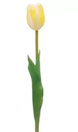 Sztuczne kwiaty - Tulipan silikonowy jak żywy biało żółty gumowy 44 cm rozkwitnięty - miniaturka - grafika 1