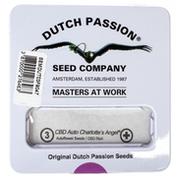 Nasiona i cebule - Nasiona konopi CBD Dutch Passion - CBD Auto Charlotte's Angel (Fem.) 3szt. - miniaturka - grafika 1