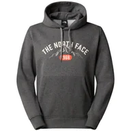 Bluzy sportowe męskie - Męska bluza The North Face M Hoodie Varsity Graphic Rozmiar: M / Kolor: szary - miniaturka - grafika 1
