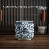 Inne - TEMU Porcelanowa Niebiesko-Biała Zielona Doniczka Hidroponiczna z Koszykiem do Uprawy, Wazon na Kwiaty i Trawa Piękności, Dekoracja Biurkowa do - miniaturka - grafika 1