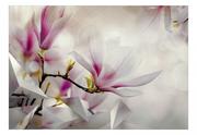 Fototapety - Fototapeta - Subtelne magnolie - trzeci wariant (rozmiar 100x70) - miniaturka - grafika 1