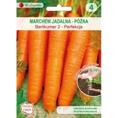 Nasiona i cebule - Nasiona na taśmie - marchew Berlikumer 2 Perfekcja W.Legutko - miniaturka - grafika 1
