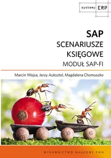 SAP. Scenariusze księgowe - Systemy operacyjne i oprogramowanie - miniaturka - grafika 1
