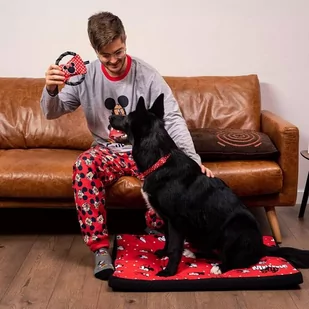 For fan pets Obroża Minnie M/L - Obroże dla psów - miniaturka - grafika 1