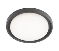 Lampy ogrodowe - Redo 9184 - Zewnętrzna lampa sufitowa LED BEZEL LED/30W/230V IP54 antracyt - miniaturka - grafika 1