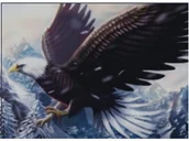 Zabawki kreatywne - Mozaika Diamentowa 5D Haft Malowanie Orzeł W Locie ** KUP Z DOSTAWĄ TEGO SAMEGO DNIA DO NAJWIĘKSZYCH MIAST ** 0000045795 - miniaturka - grafika 1