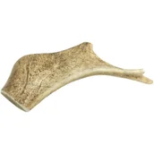 Przysmaki dla psów - 4DOGS GRYZAK L HARD z poroża daniela 15 cm - miniaturka - grafika 1