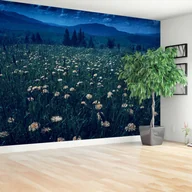 Fototapety - Fototapeta Mlecze żółte - miniaturka - grafika 1