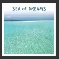 Muzyka relaksacyjna - Sea of Dreams Cd - Richard Ackrill - miniaturka - grafika 1