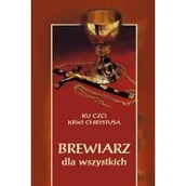 Religia i religioznawstwo - Brewiarz dla wszystkich - miniaturka - grafika 1