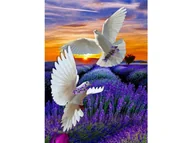 Malowanie po numerach - OBRAZ MALOWANIE PO NUMERACH RAMA 40x50cm  DWA GOŁĘBIE - miniaturka - grafika 1